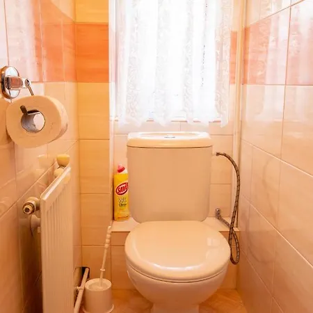 Apartment Blehovi *
