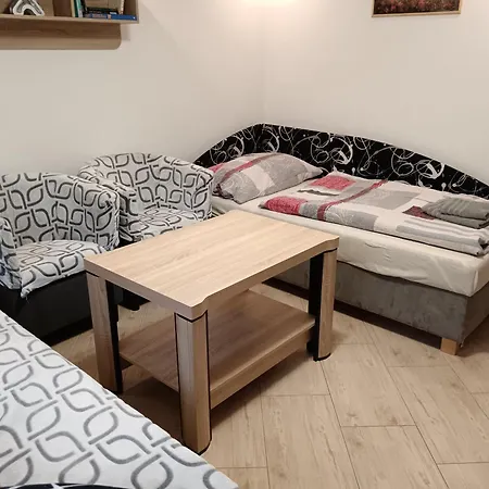 Blehovi Apartment Decin